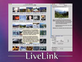 LiveLink: a simple solution for a complex business — illustration from the Picdar site as published in 2005